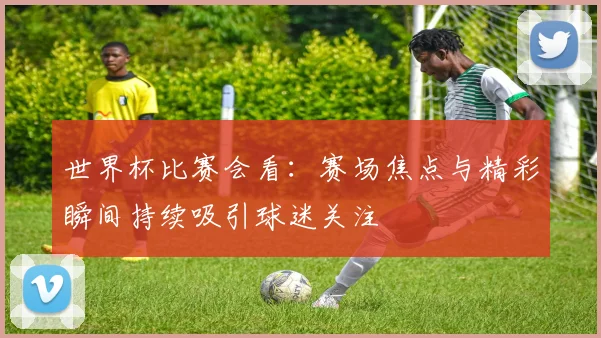 世界杯比赛会看：赛场焦点与精彩瞬间持续吸引球迷关注