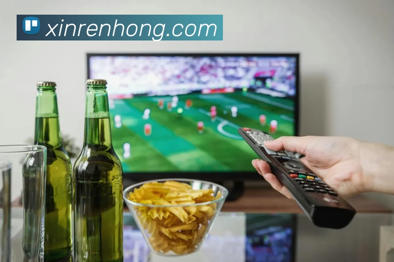 足球世界杯官网中文版平台生态图